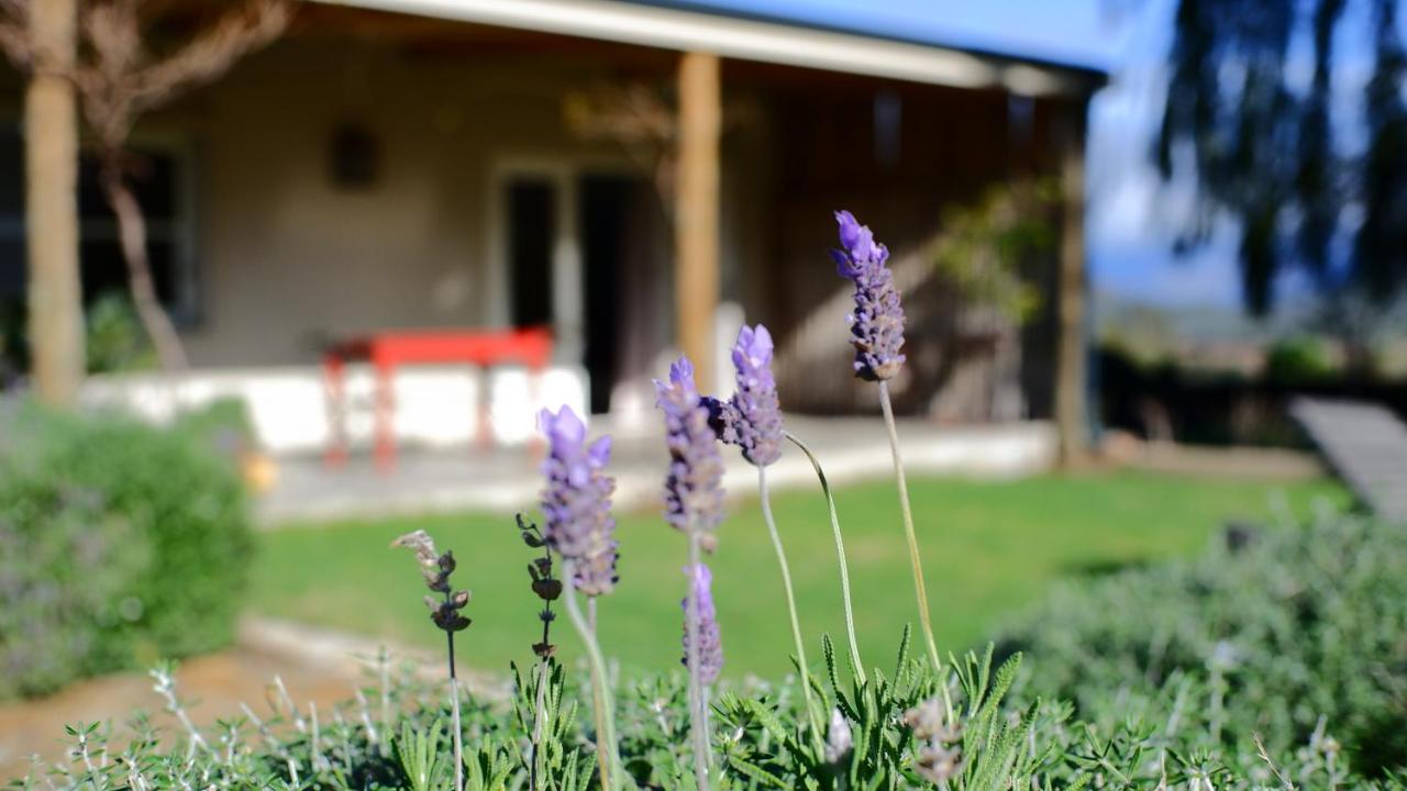 Kuruma Farm Cottages 우스터 외부 사진
