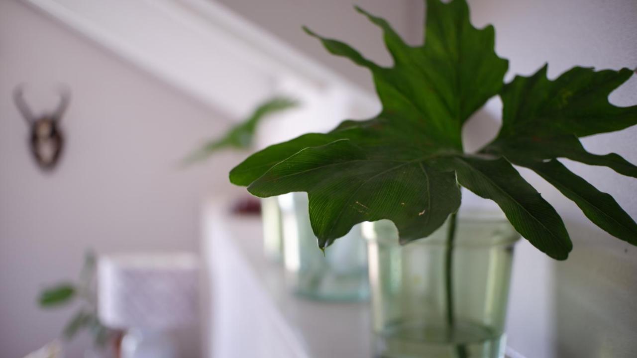 Kuruma Farm Cottages 우스터 외부 사진